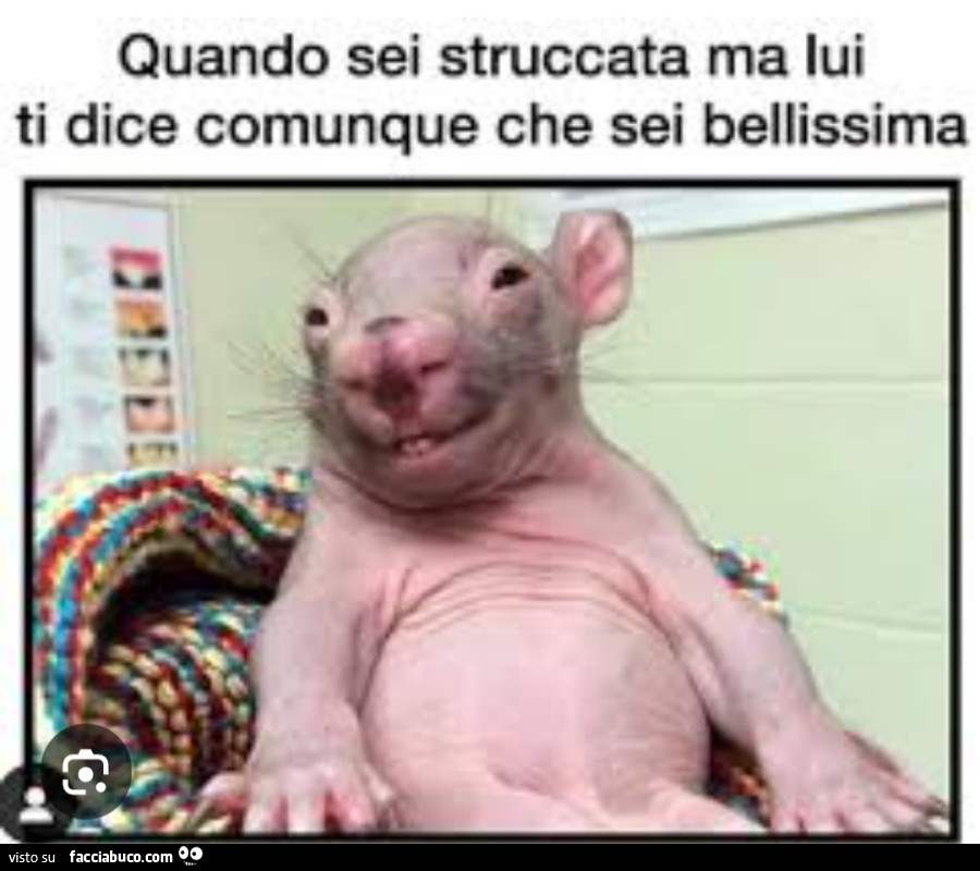 Vaccata