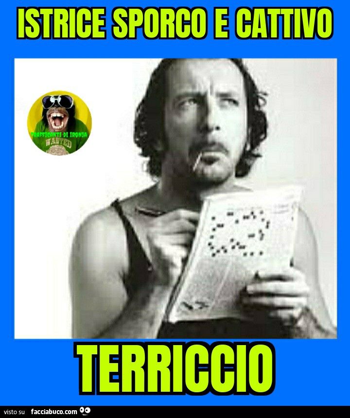 Istrice sporco e cattivo terriccio