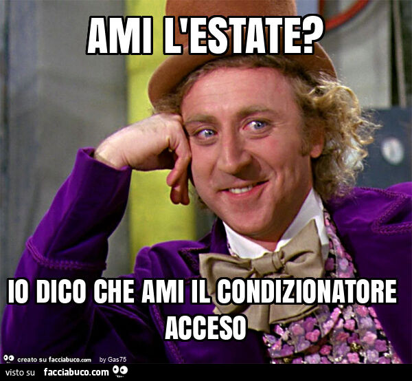 Ami l'estate? Io dico che ami il condizionatore acceso