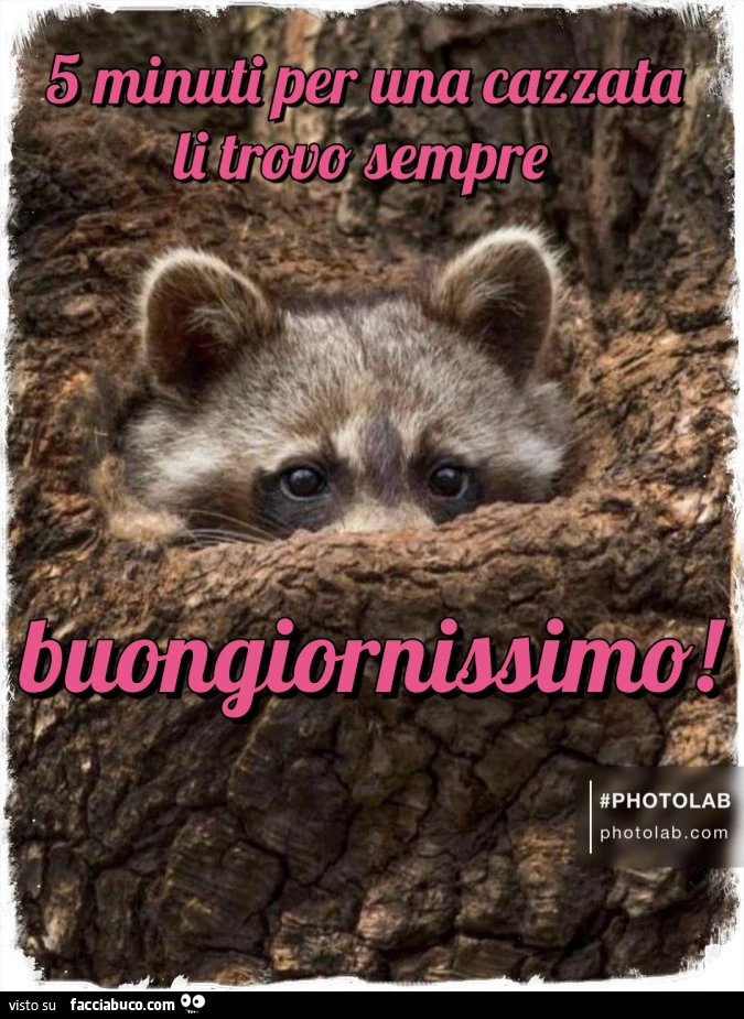 Buongiorno
