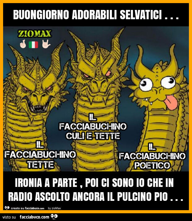 Vaccata