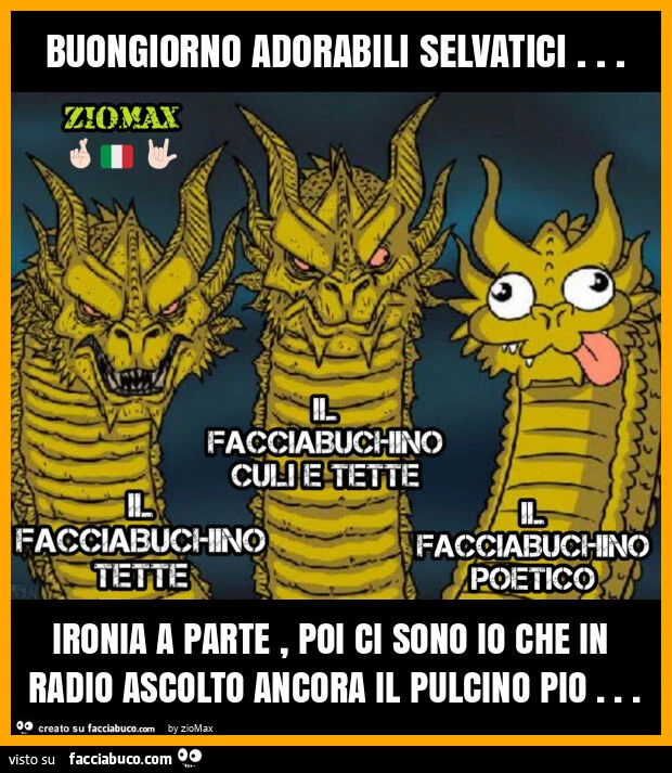 Vaccata