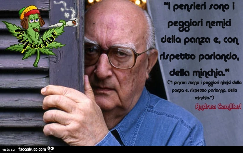 Vaccata