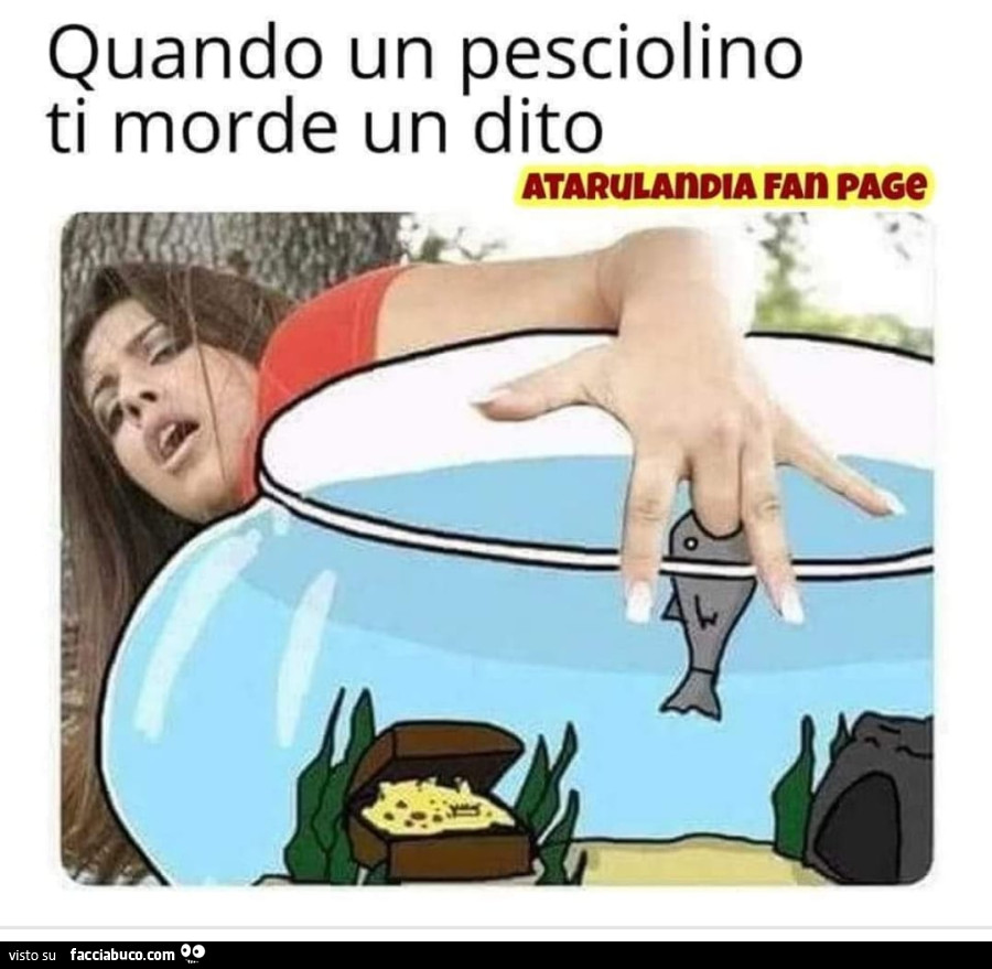 Pesce innamorato