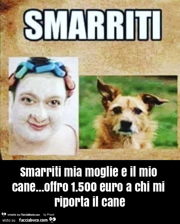 Smarriti mia moglie e il mio cane… offro 1.500 euro a chi mi riporta il cane