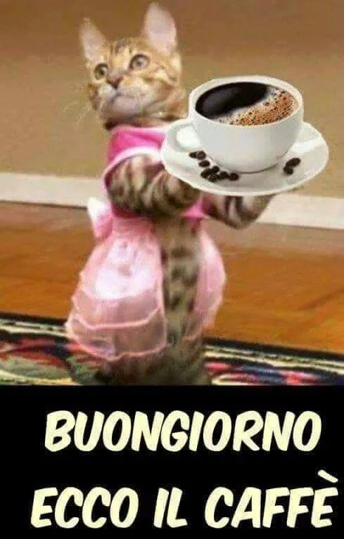 Ecco il caffè