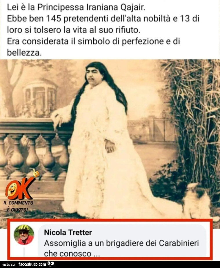 Ok il commento è giusto Principessa iraniana qajair ebbe ben 145 pretendenti alta nobiltà 13 si tolsero la vita al suo rifiuto considerata simbolo perfezione e bellezza assomiglia a un brigadiere dei carabinieri che conosco