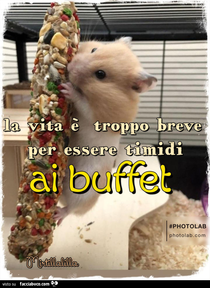 Buffet