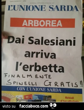 Dai Salesiani arriva l'erbetta&hellip; spinelli gratis