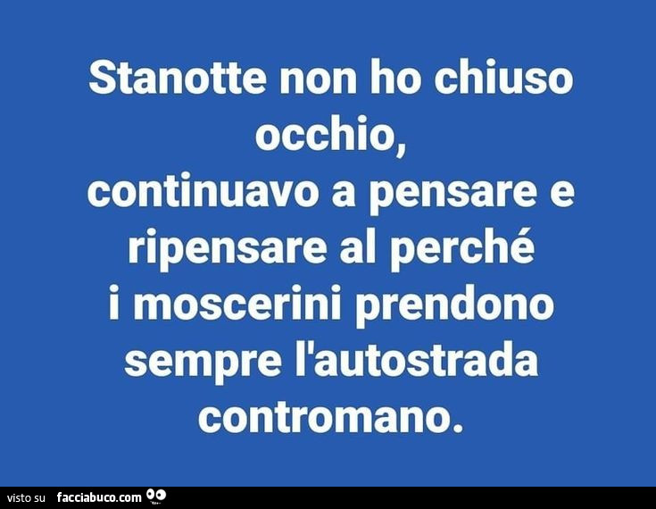 Stanotte non ho chiuso occhio, continuavo a pensare e ripensare al perché i moscerini prendono sempre l'autostrada contromano