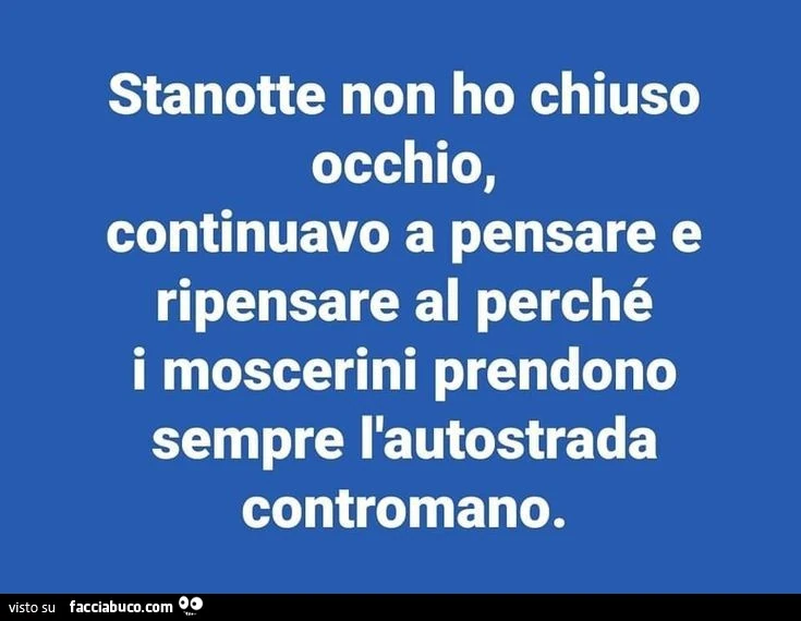 Stanotte non ho chiuso occhio, continuavo a pensare e ripensare al perchรฉ i moscerini prendono sempre l'autostrada contromano