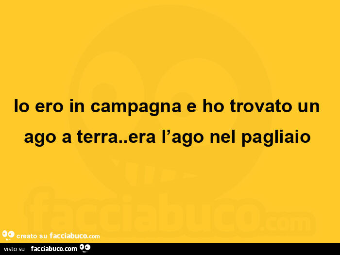 Io ero in campagna e ho trovato un ago a terra. Era l'ago nel pagliaio