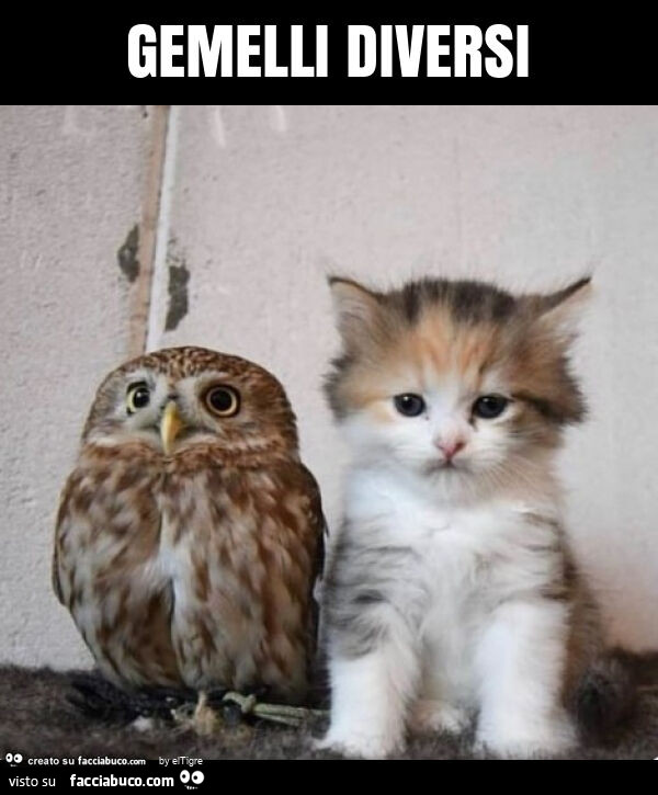 Gemelli diversi