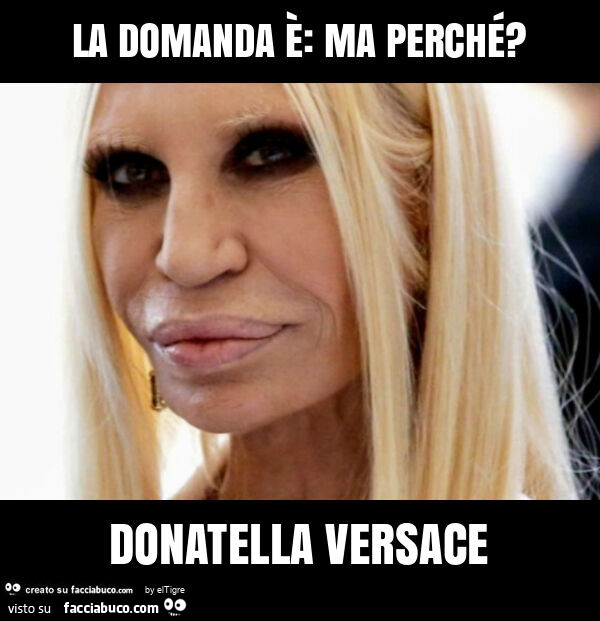 La domanda è: ma perché? Donatella versace