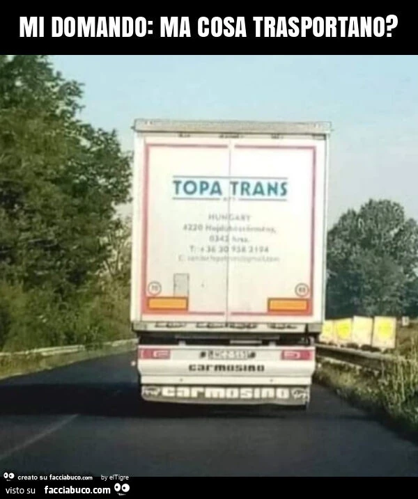 Mi domando: ma cosa trasportano?