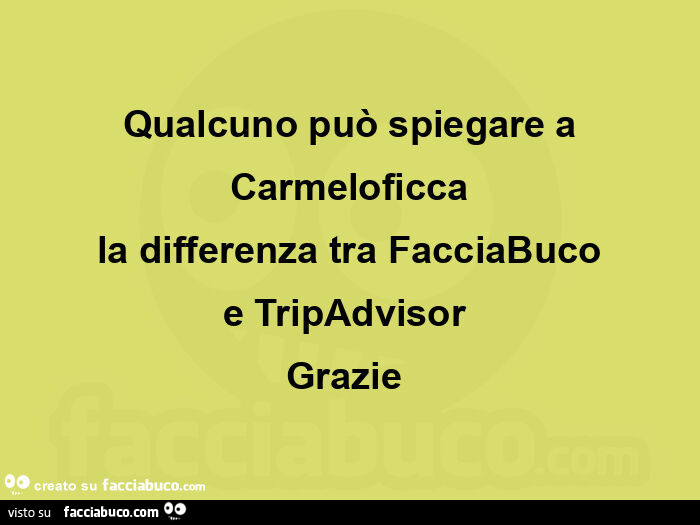 Qualcuno può spiegare a carmeloficca la differenza tra facciabuco e tripadvisor  grazie 