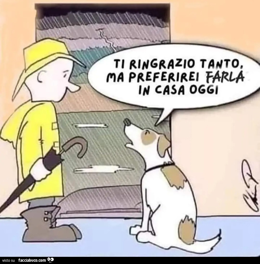 https://cdn-img-z.facciabuco.com/113/f2vk3h61k2-ti-ringrazio-tanto-ma-preferirei-farla-in-casa-oggi-cane-pioggia_a.jpg