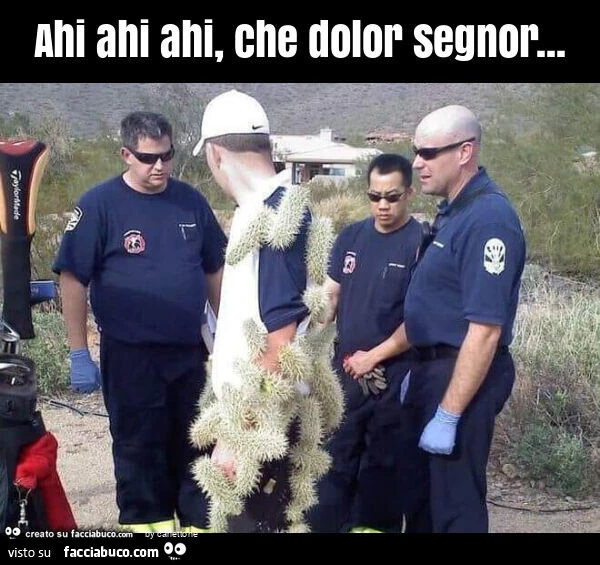 Ahi ahi ahi, che dolor segnor