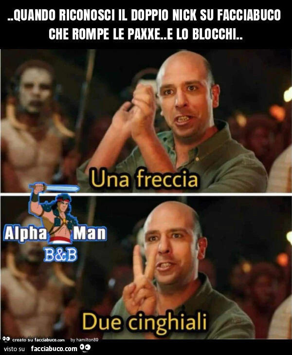 Quando riconosci il doppio nick su facciabuco che rompe le paxxe