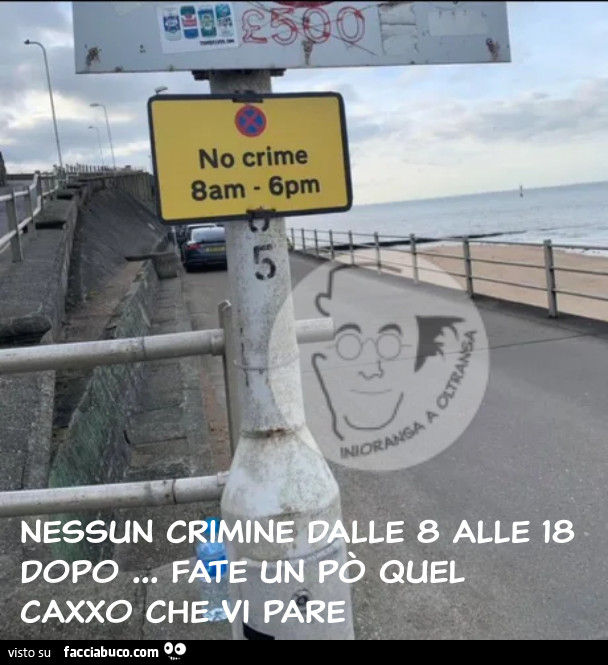 No crime