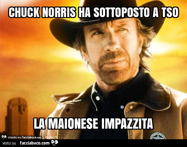 Chuck norris ha sottoposto a tso la maionese impazzita