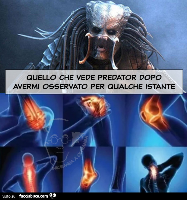 Quello che vede Predator dopo avermi osservato per qualche istante