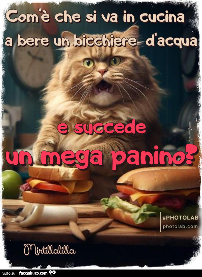 Mega panino