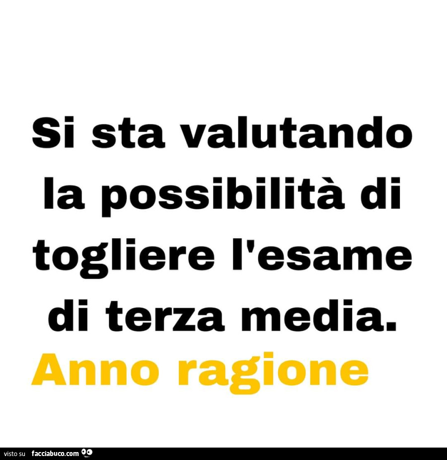 Si sta valutando la possibilità di togliere l'esame di terza media. Anno ragione