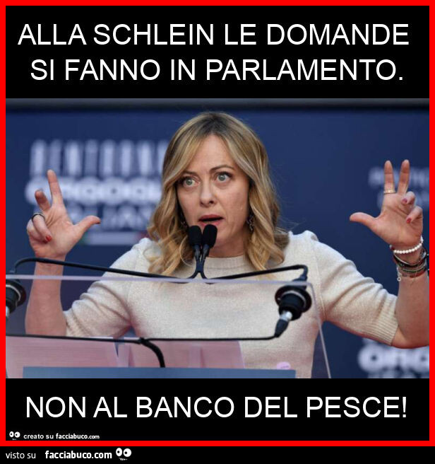 Alla schlein le domande si fanno in parlamento. Non al banco del pesce