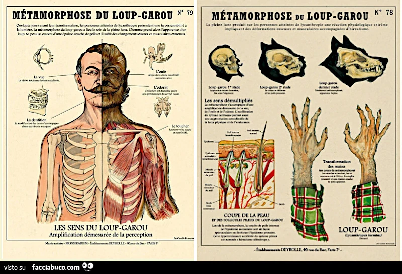 E dopo la Femme-Serpent, per parità di genere, le Loup-Garoup