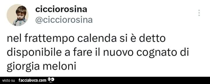 Nel frattempo Calenda si è detto disponibile a fare il nuovo cognato di giorgia meloni