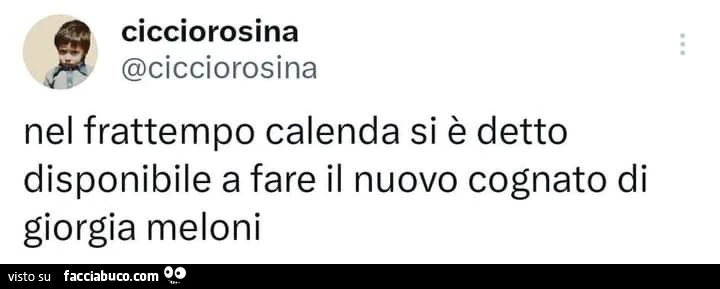 Nel frattempo Calenda si รจ detto disponibile a fare il nuovo cognato di giorgia meloni