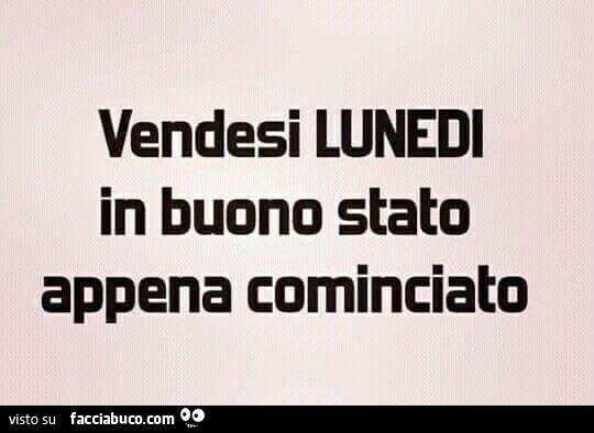 Vendesi lunedi in buono stato appena cominciato