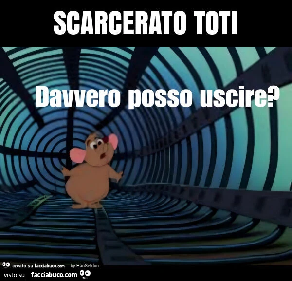 Scarcerato toti