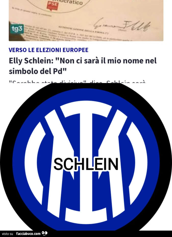 SCHLEIN nello stemma dell'Inter