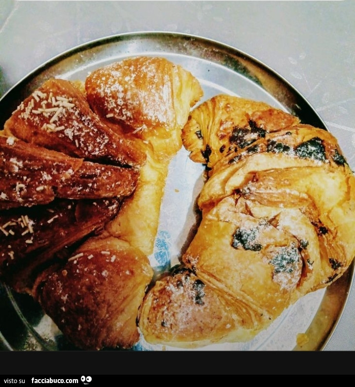 Vaccata