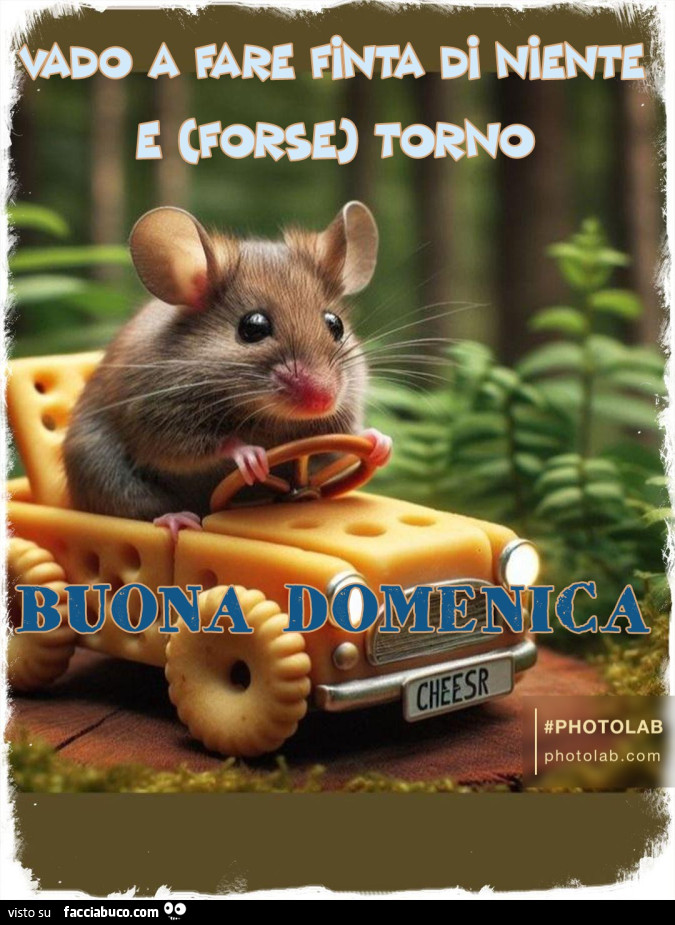 Buona domenica
