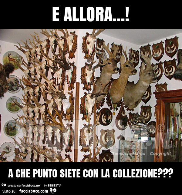 E allora… ! A che punto siete con la collezione?