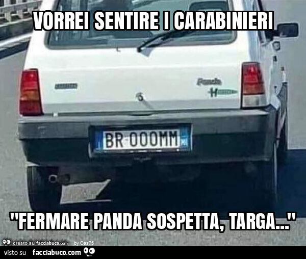 Vorrei sentire i carabinieri "fermare panda sospetta, targa… "