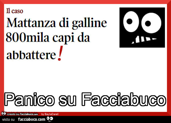 Mattanza di galline, 800mila capi da abbattere! Panico su Facciabuco