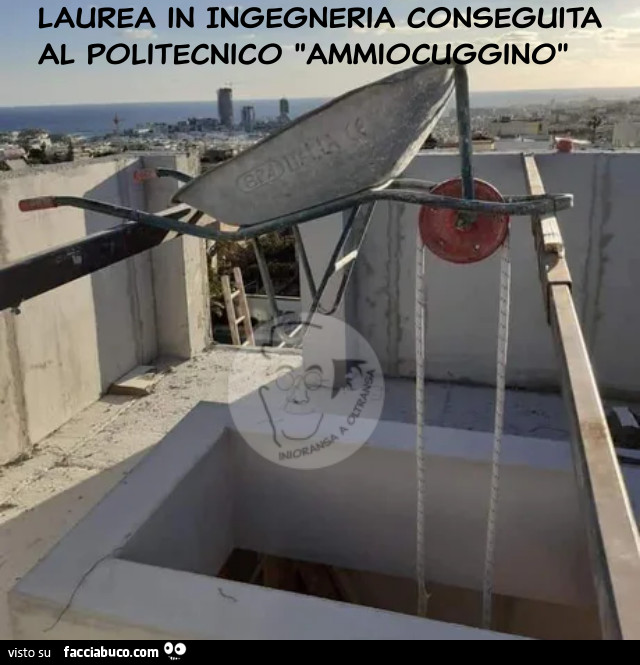 Politecnico ammiocuggino