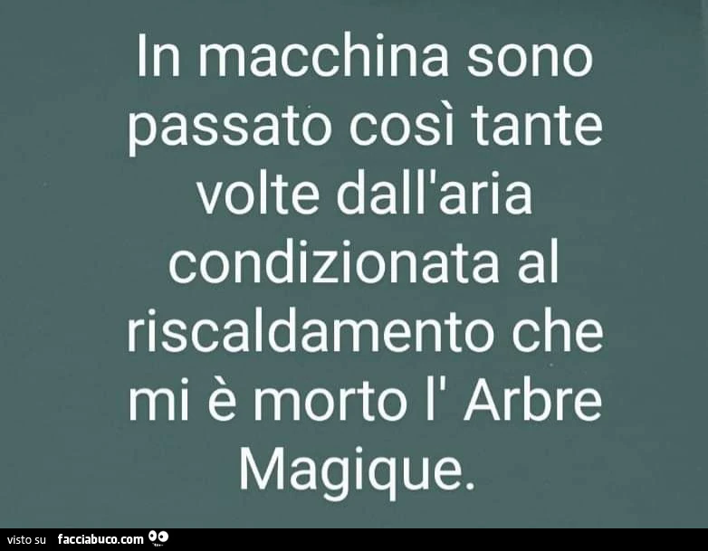 Vaccata