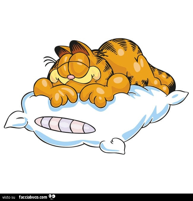 Garfield dorme sul cuscino