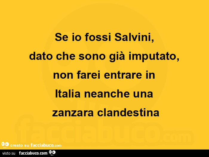 Se io fossi Salvini, dato che sono già imputato, non farei entrare in italia neanche una zanzara clandestina