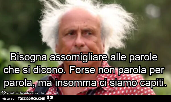 Bisogna assomigliare alle parole che si dicono. Forse non parola per parola, ma insomma ci siamo capiti, Stefano Benni