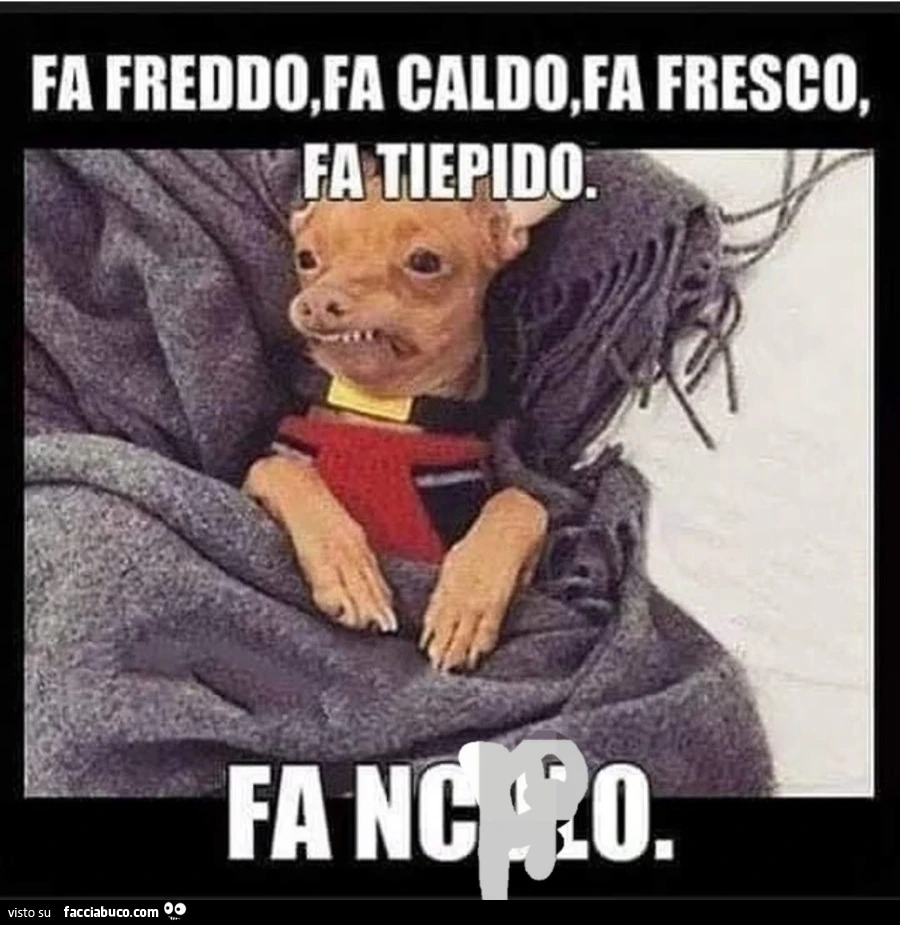 Vaccata
