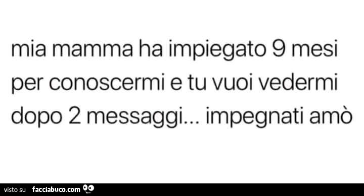 Mia mamma ha impiegato 9 mesi per conoscermi e tu vuoi vedermi dopo 2 messaggi… impegnati amò