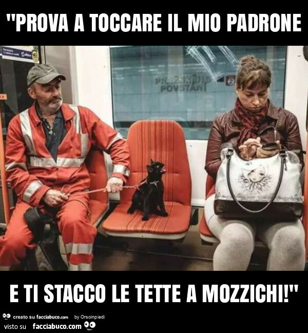 "prova a toccare il mio padrone e ti stacco le tette a mozzichi! "