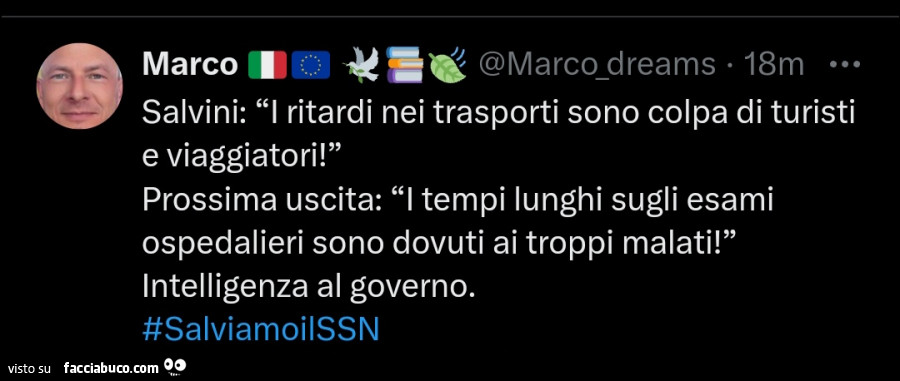 Salvini: i ritardi nei trasporti sono colpa di turisti e viaggiatori! Prossima uscita: i tempi lunghi sugli esami ospedalieri sono dovuti ai troppi malati! Intelligenza al governo