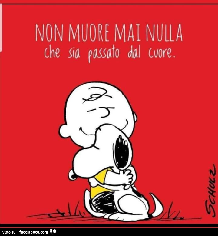 Non muore mai nulla che sia passato dal cuore